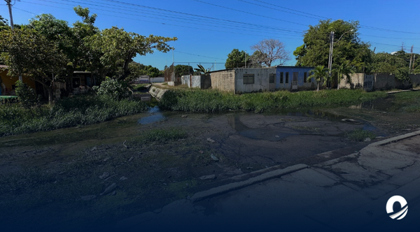 SUCRE | Vecinos de la calle Camboya en Cumaná denunciaron desborde de aguas negras