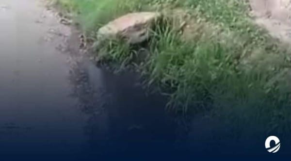 Aguas negras El Valle municipio García Nueva Esparta