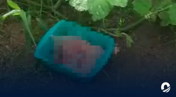 Recién nacido abandonado Upata