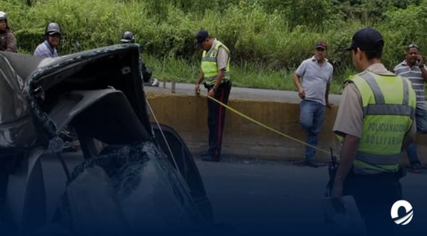 Observatorio de Seguridad Vial muertos noviembre