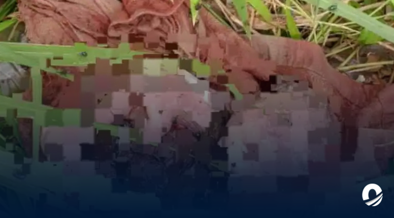 Hallaron el cuerpo de un bebé en un basurero del Parque del Este en Maturín