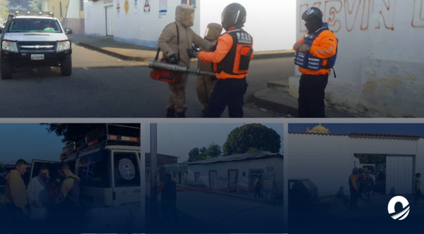 25 personas fueron atacadas por un enjambre de abejas en Barinas