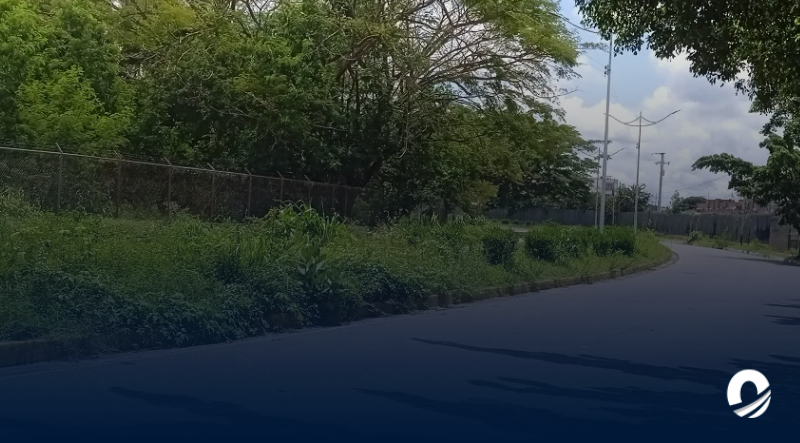 ANZOÁTEGUI| Maleza en la Avenida Boyacá de Anaco representa un peligro