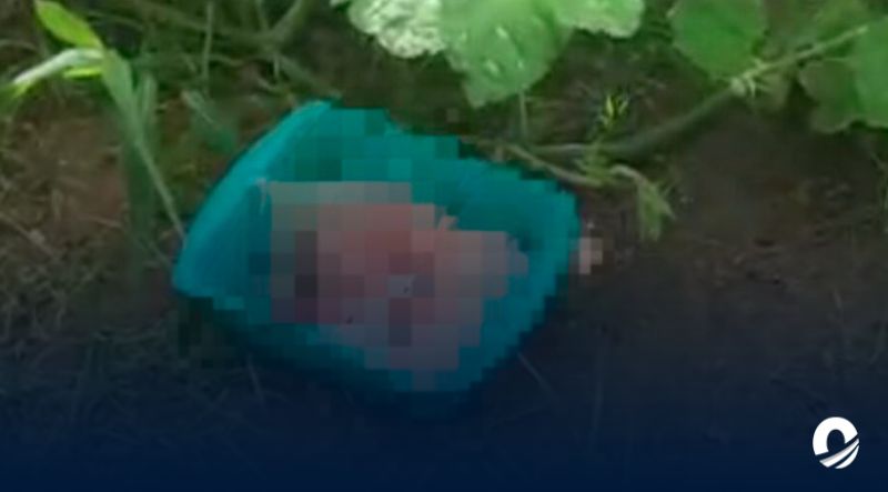 Hallaron bebé recién nacido abandonado en una plantación de auyama en Bolívar